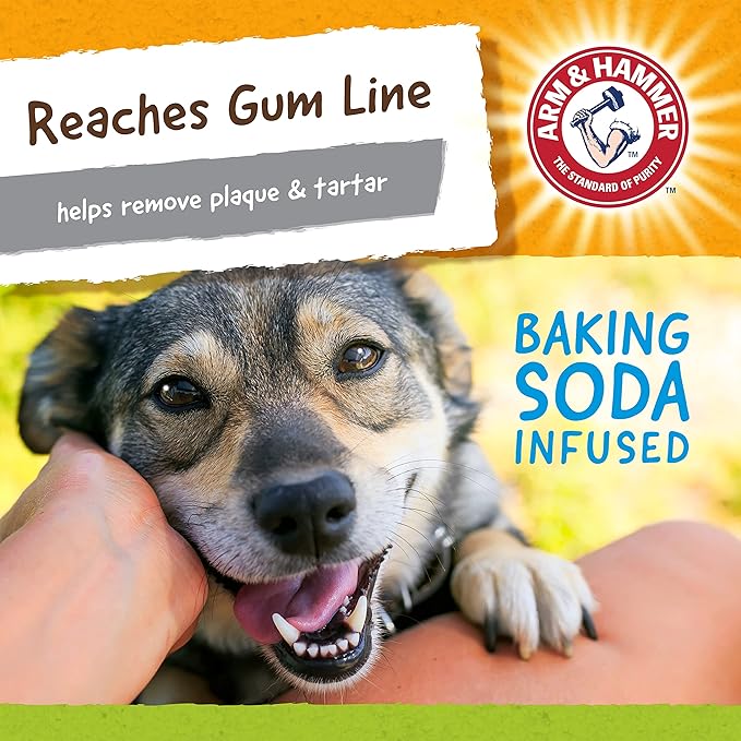 Arm & Hammer for Pets Nubbies Duality Bone Dental Dog Toy| Best Chew Toy for - Image 6
