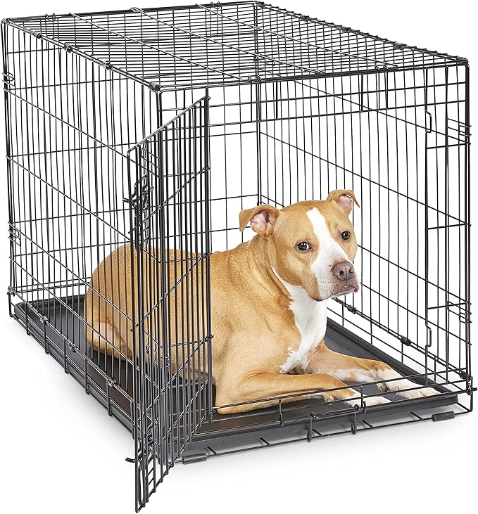 Midwest Homes for Pets 36-Inch New World Crate for Medium-Large Breeds by NewWorldPetProducts