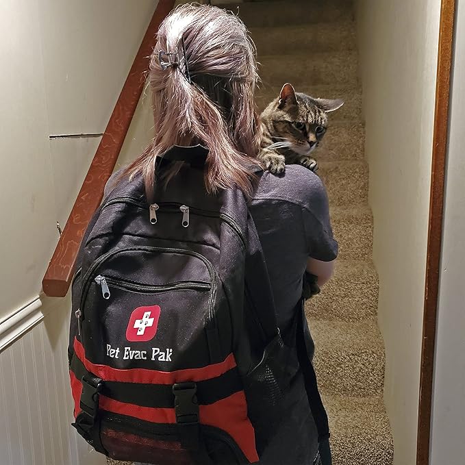 Pet Emergency Kit for Cats - Image 2