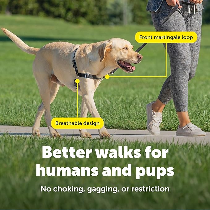 PetSafe Easy Walk No-Pull Dog Harness - Image 4