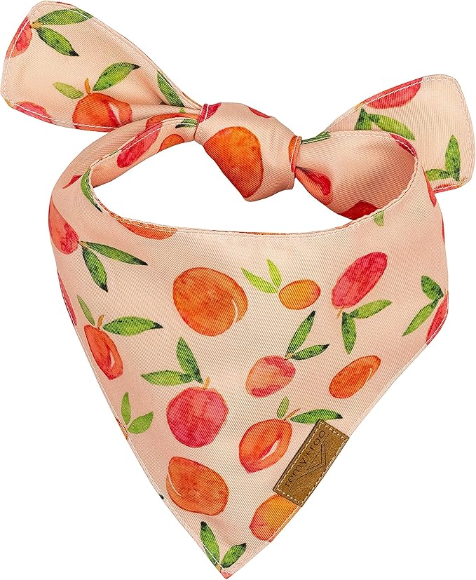 Remy+Roo Large Spring Dog Bandanas - Image 3