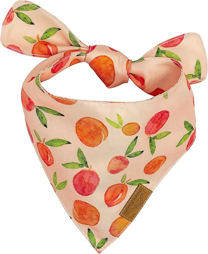 Remy+Roo Small Spring Dog Bandanas - Image 3