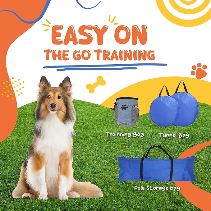 POPMOON Agility Training Equipment - Image 3