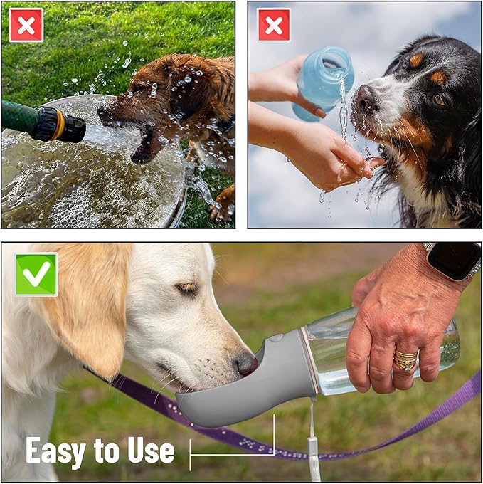 Mr. Pen- Portable Dog Water Bottle, 19 oz, Leak Proof Puppy Water Dispenser - Image 7