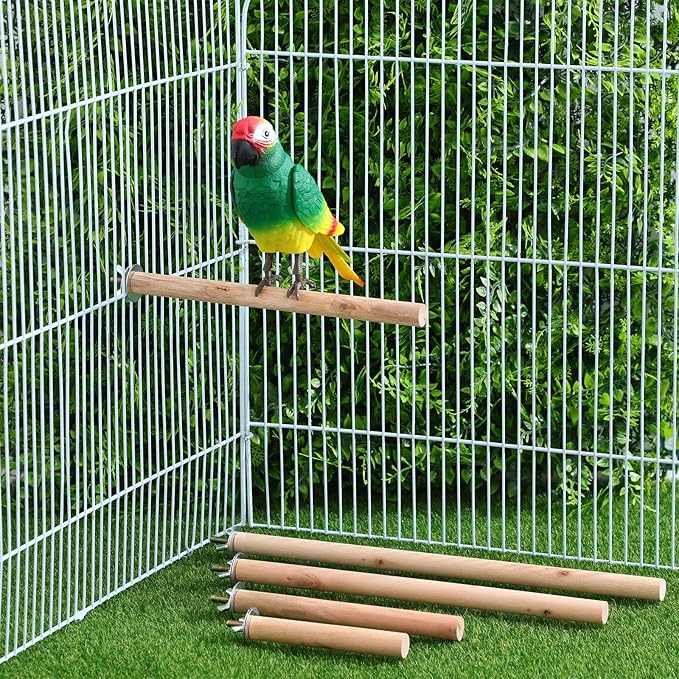 Angoily Dowel Wood Bird Perch Stand Set, Parakeet Perches, 11 Inch Parrot Stand - Image 5
