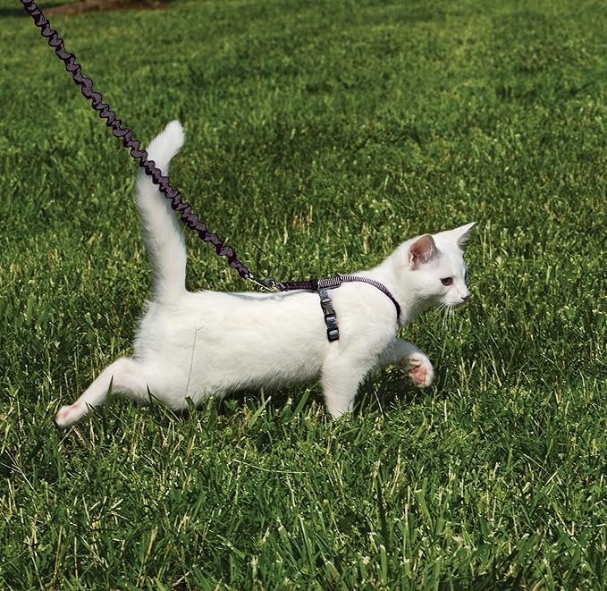 PetSafe Come with Me Kitty Harness and Bungee Leash Adjustable, Lightweight - Image 2