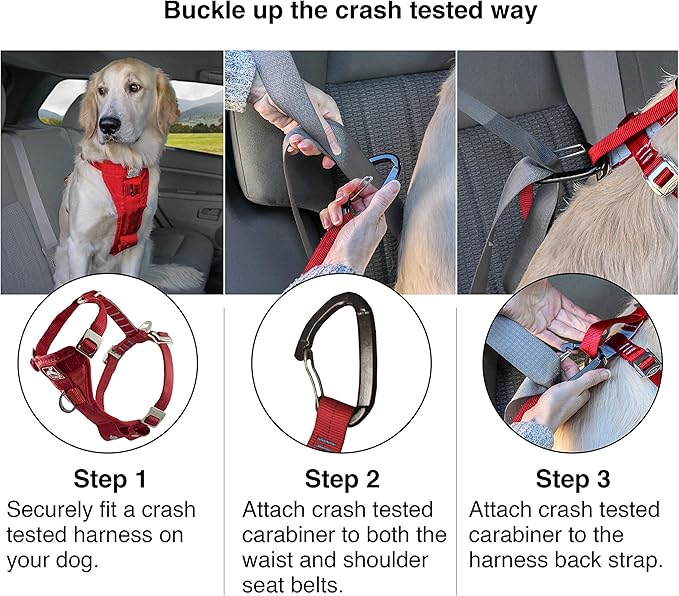 Kurgo Enhanced Strength Tru-Fit Dog Car Harness - Image 4