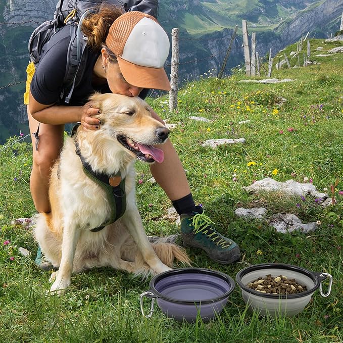Dog Bowl Large Pet Collapsible Bowls, 2 Pack Collapsible Dog Water Bowls - Image 3