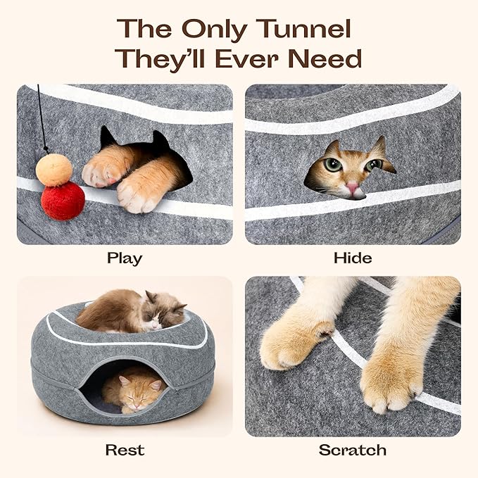 Peekaboo Cat Cave Donut - Image 3