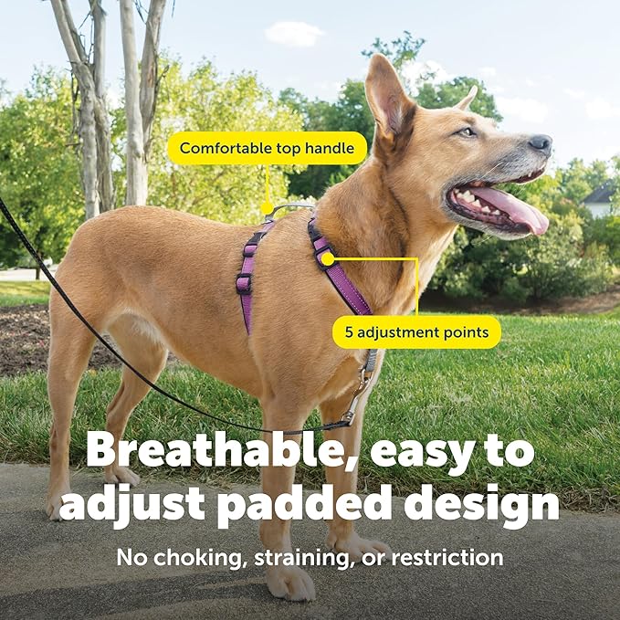 PetSafe 3 in 1 No-Pull Dog Harness - Image 4