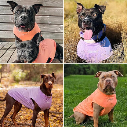 Spark Paws Sunblock Dog T-Shirt, SPF30 Protection, Lightweight Breathable Quick - Image 6