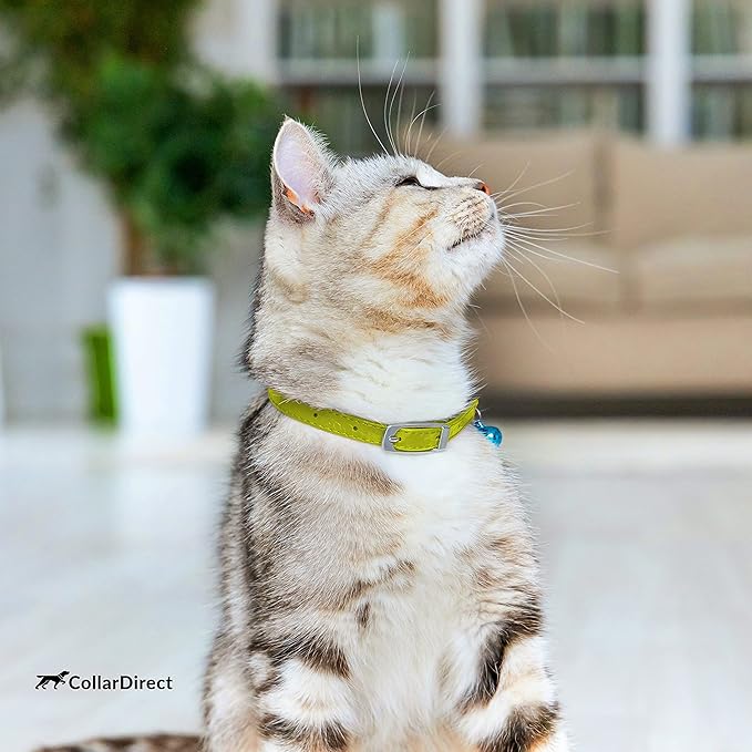 CollarDirect Leather Cat Collar - Image 7