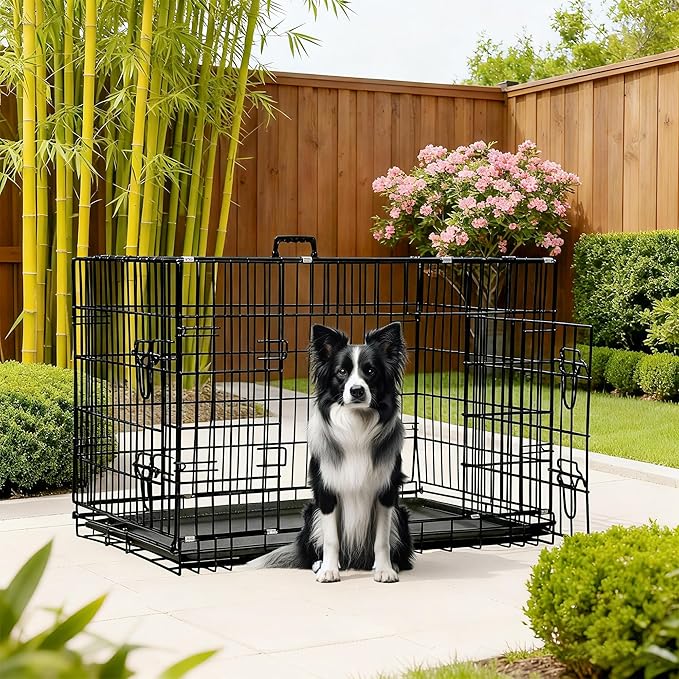 FDW Dog Crate 42-Inch Dog Cage Foldable Metal Kennel - Image 2