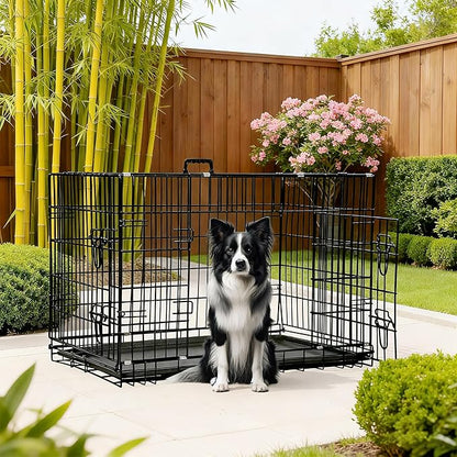 FDW Dog Crate 42-Inch Dog Cage Foldable Metal Kennel - Image 2