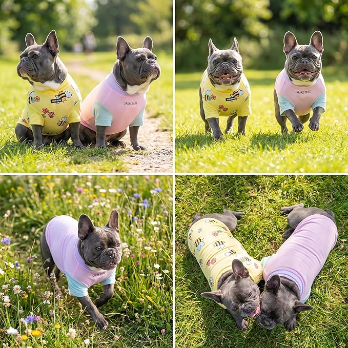 Spark Paws Sunblock Dog T-Shirt, SPF30 Protection, Lightweight Breathable Quick - Image 6