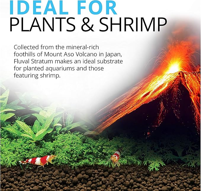 Fluval 12695 Plant and Shrimp Stratum - Image 2