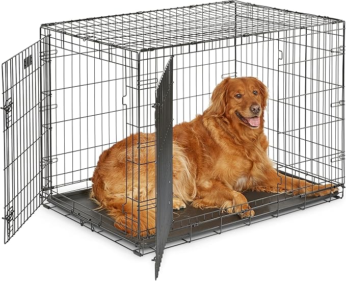 MidWest Homes for Pets 42-Inch iCrate for Large Breeds, 71-90 lbs, Double Door by MidWestHomesForPets