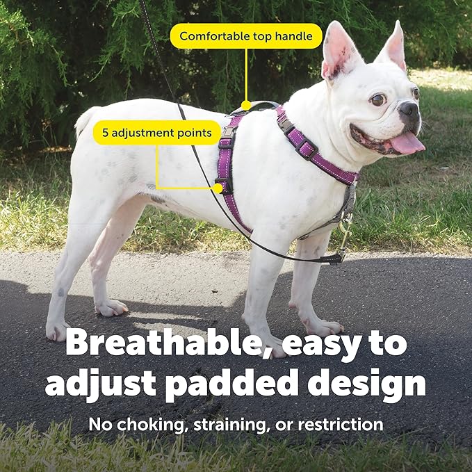 PetSafe 3 in 1 Dog Harness - Image 4