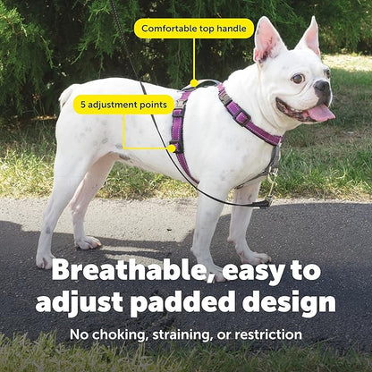 PetSafe 3 in 1 Dog Harness - Image 4