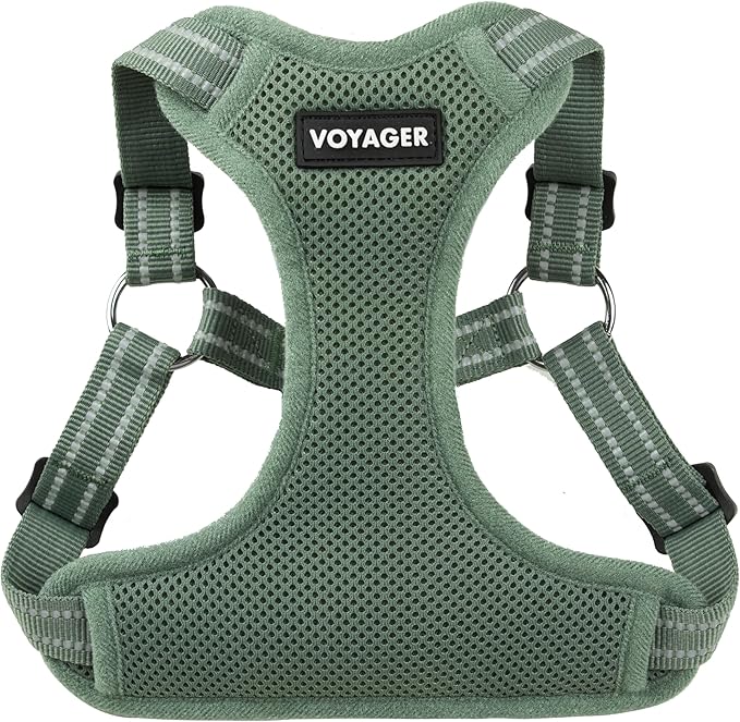 Best Pet Supplies Voyager Adjustable Step-in Flex Breathable Mesh Dog Harness by BestPetSuppliesLLC