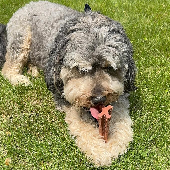 SPOT Bam-Bones Plus T Bone – Bamboo Fiber & Nylon Dog Chew Toy - Image 20