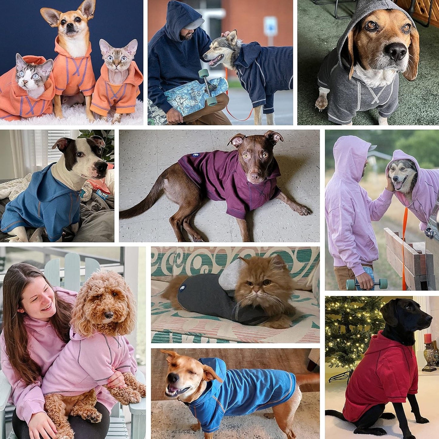 Blueberry Pet Essentials Hoodie – 10″ Cotton‑Blend Sweatshirt with Hood, Alaskan Blue, Machine‑Washable Dog Jersey