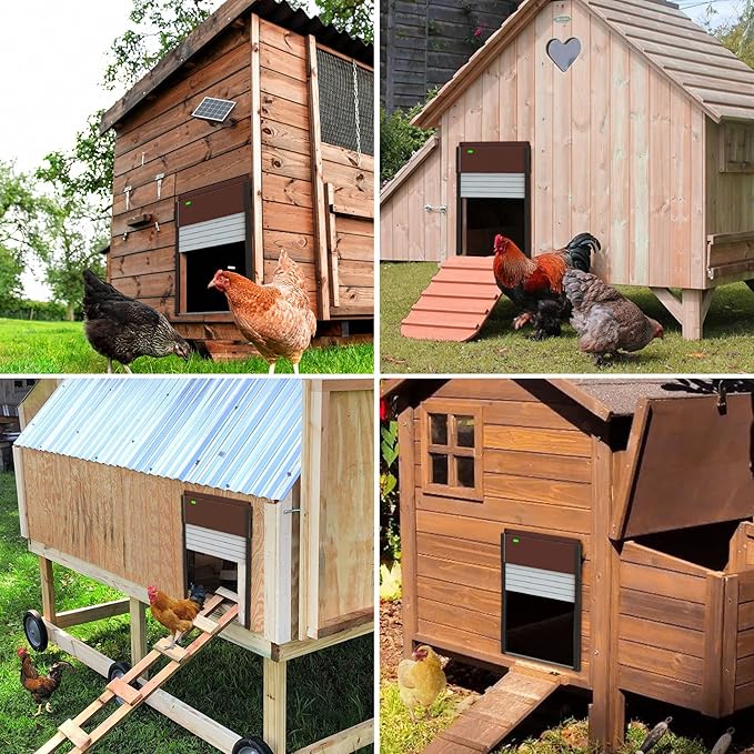 Automatic Chicken Coop Door Solar Powered - Image 6