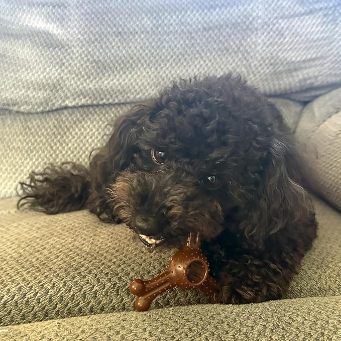 SPOT Bam-Bones Plus Triple Chew Dog Toy, Durable Bamboo Fiber & Nylon, - Image 8