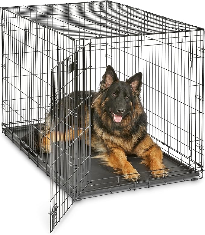 MidWest Homes for Pets 48-Inch iCrate for Extra-Large Breeds, 90-110 lbs by MidWestHomesForPets