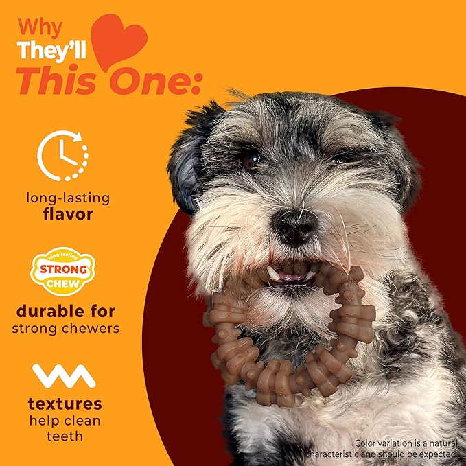 Nylabone Strong Chew Textured Ring Dog Toy Made - Image 3