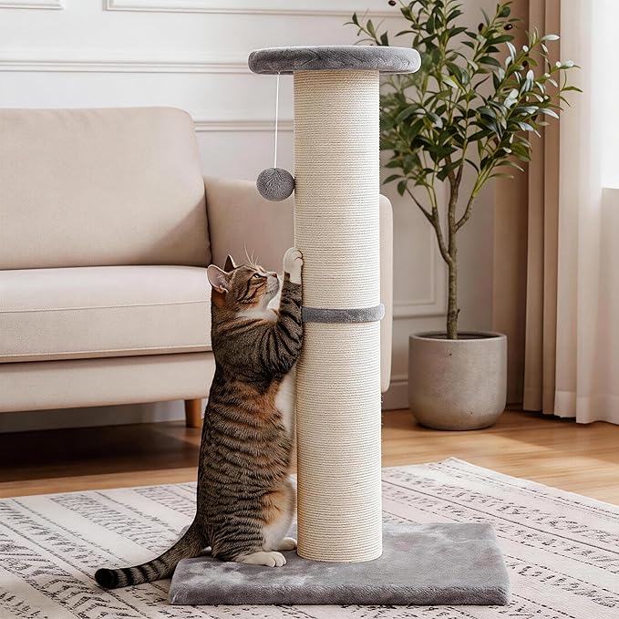 PAWSCRAT Cat Scratching Post 32" Tall, 5-Inch Diameter Natural Sisal Cat - Image 8