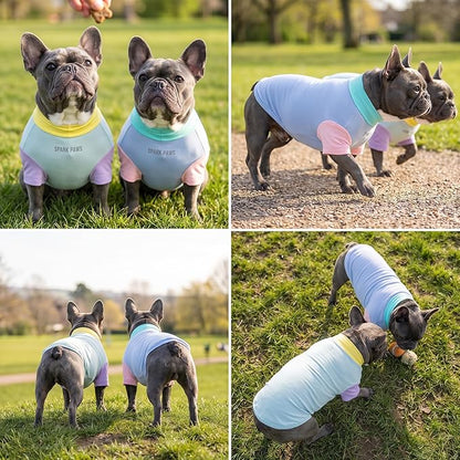 Spark Paws Sunblock Dog T-Shirt, SPF30 Protection, Lightweight Breathable Quick - Image 6