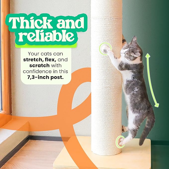 50" Tall Cat Scratching Post, Extra-Large Cat Scratch Post - Image 4
