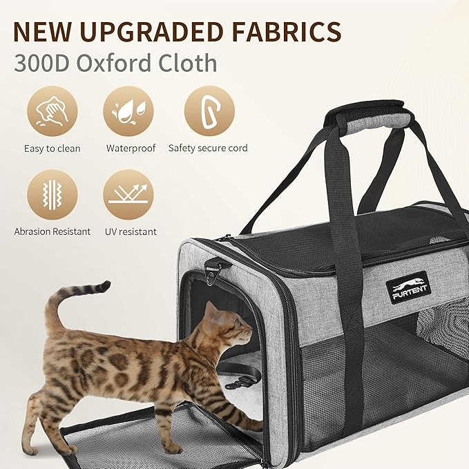 TSA Approved Pet Carrier for Small Cats and Puppies, Soft-Sided and Foldable - Image 3
