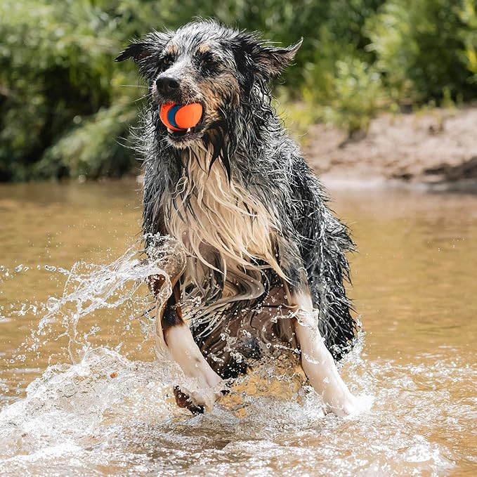 Chuckit! Ultra Ball Dog Toy - Image 3
