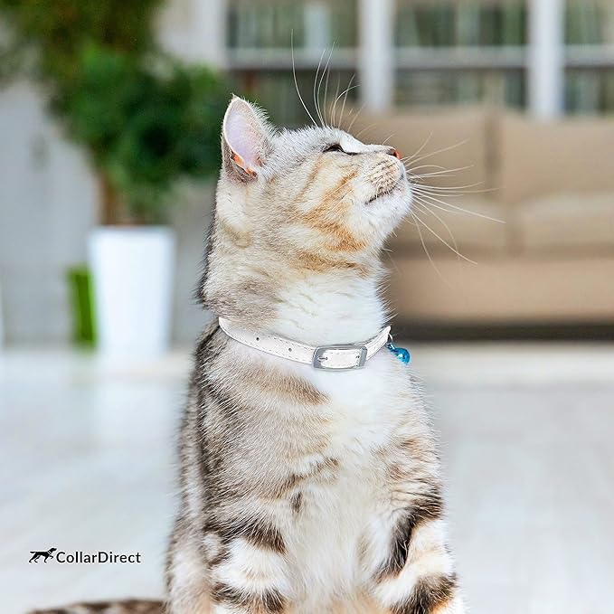 CollarDirect Leather Cat Collar - Image 7