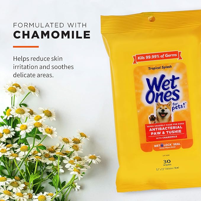 Wet Ones Dog Wipes - Image 2