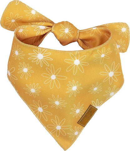 Remy+Roo Small Spring Dog Bandanas - Image 5