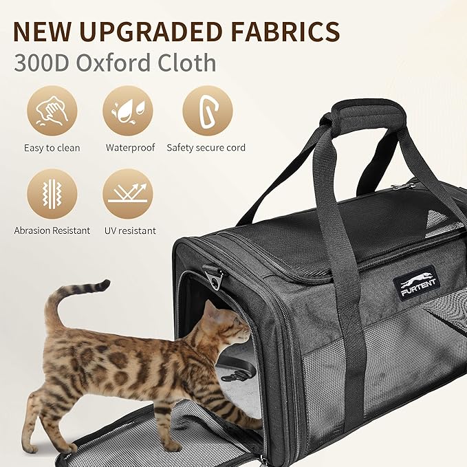 TSA Approved Pet Carrier for Small Cats and Puppies, Soft-Sided and Foldable - Image 4