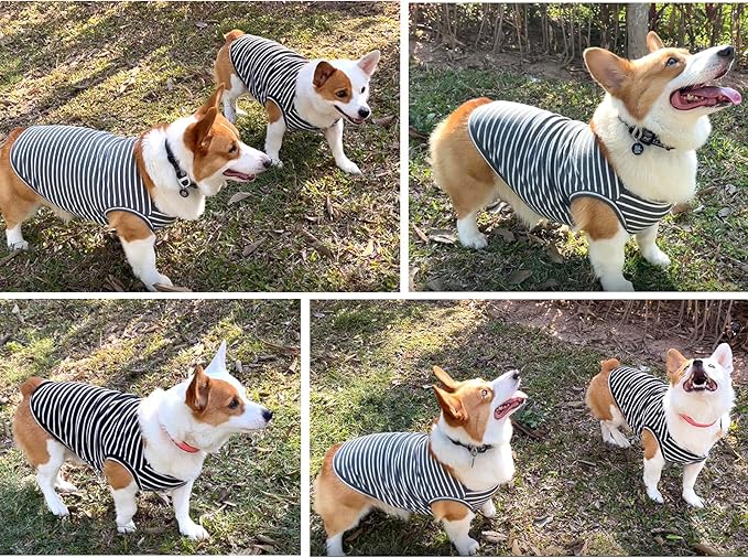 Koneseve Dog Shirt Vest Lightweight Stretchy Dog T-Shirts Soft Cool Shirts - Image 8