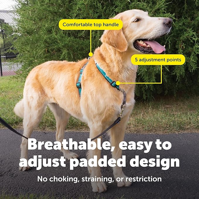 PetSafe 3 in 1 No-Pull Dog Harness - Image 4