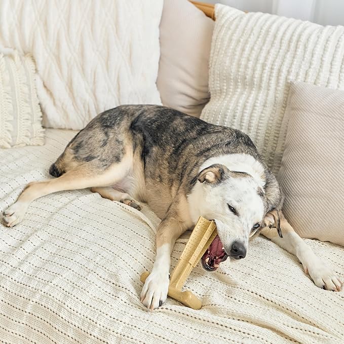 SPOT Bam-Bones Plus T-Bone, Bamboo Fiber & Nylon Dog Chew, Durable - Image 13
