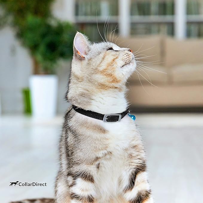 CollarDirect Leather Cat Collar - Image 7