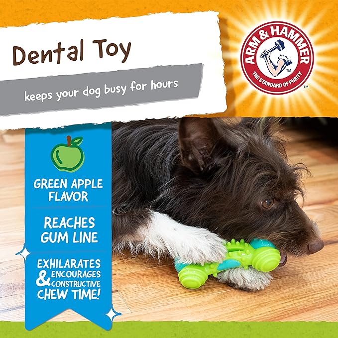 Arm & Hammer for Pets Nubbies Duality Bone Dental Dog Toy| Best Chew Toy for - Image 3