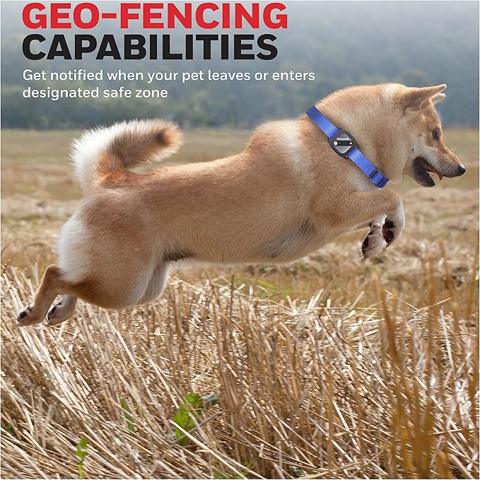 Honeywell Pet Activity Tracker - Image 3