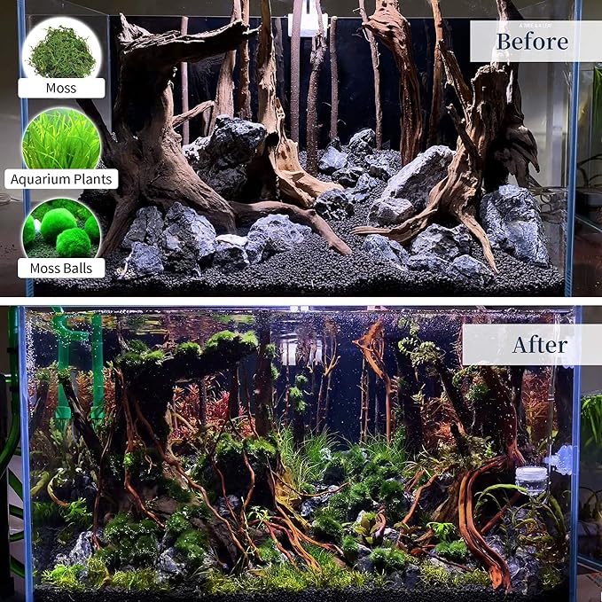 majoywoo Natural Coral Driftwood - Image 6