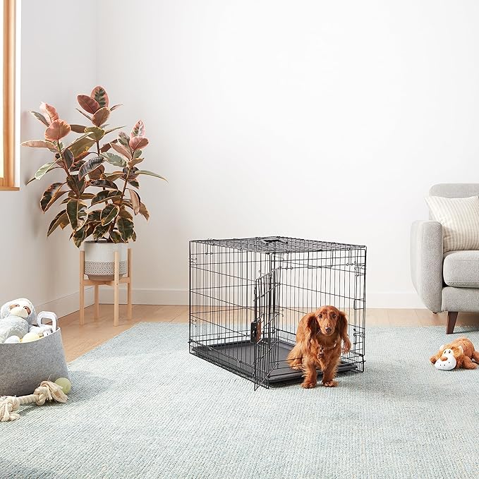 Amazon Basics Portable, Foldable Metal Wire Dog Crate - Image 5