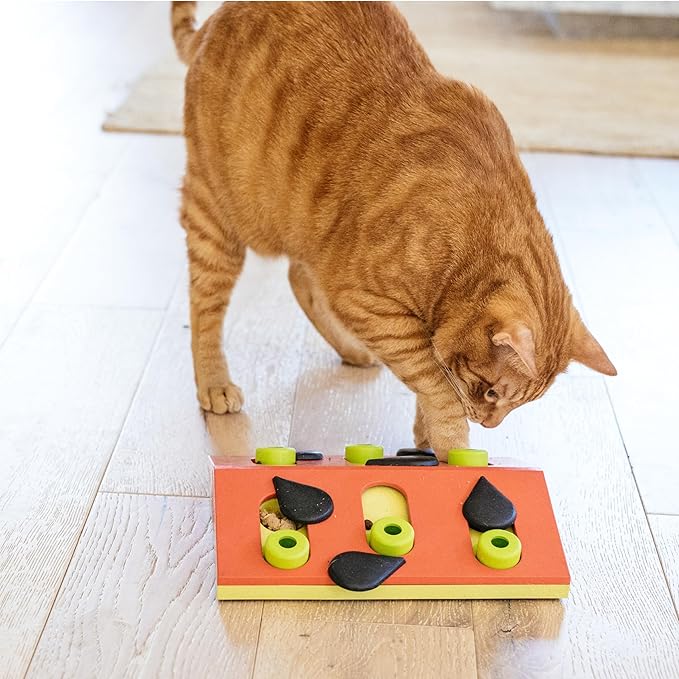 Catstages Nina Ottosson Melon Madness Puzzle & Play Cat Puzzle Feeder – - Image 8