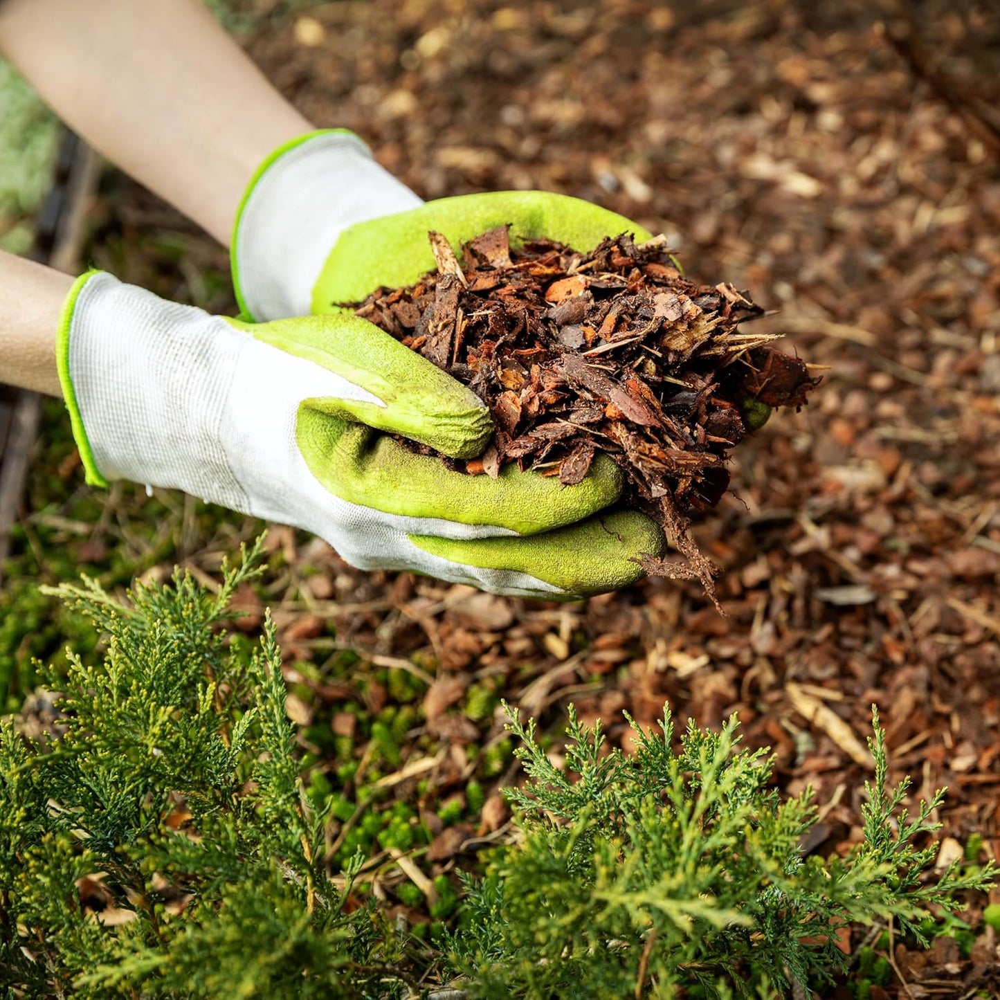 Premium Cypress Mulch for Landscaping, Gardens, Lawns, Reptile Bedding, and Potted Plants (2 CF - 56 L - 59 QTS)