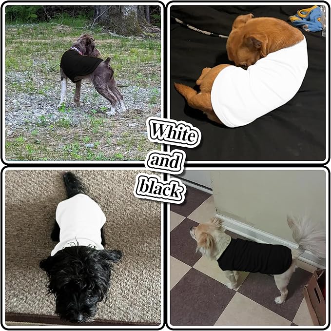 2 Pack Solid Color Dog Shirts - Image 5